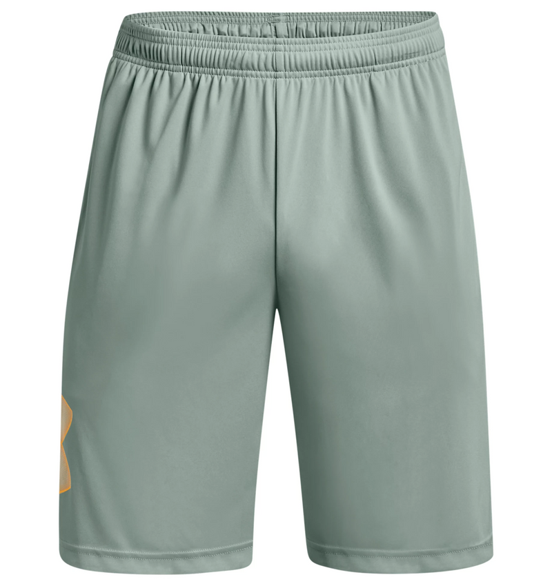 UA Tech Graphic Shorts