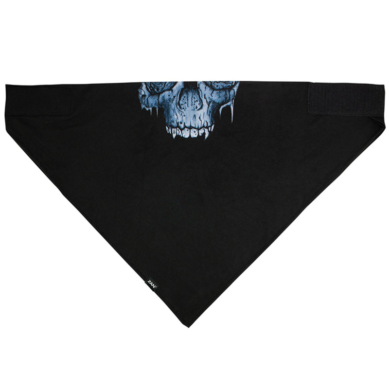 Bandanna