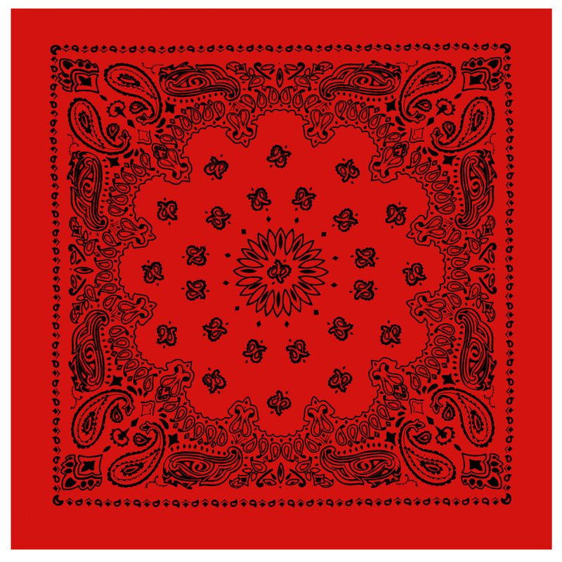 Rothco Trainmen Paisley Bandana - 22" X 22"