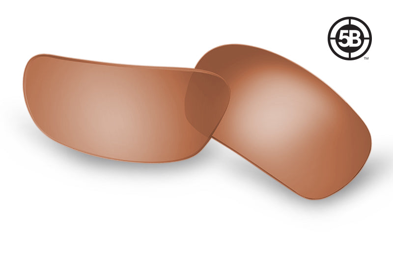 5b Replacement Lenses