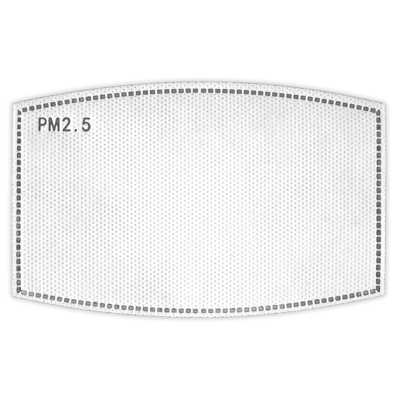 Replacement Pm2.5 Filter 5pack