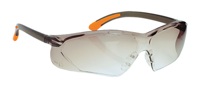 Portwest PW15 Fossa Glasses